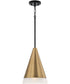 Avant 1-Light Pendant Aged Brass and Black