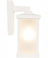 Resilience Lanterns 1-Light Outdoor Wall Lantern Matte White