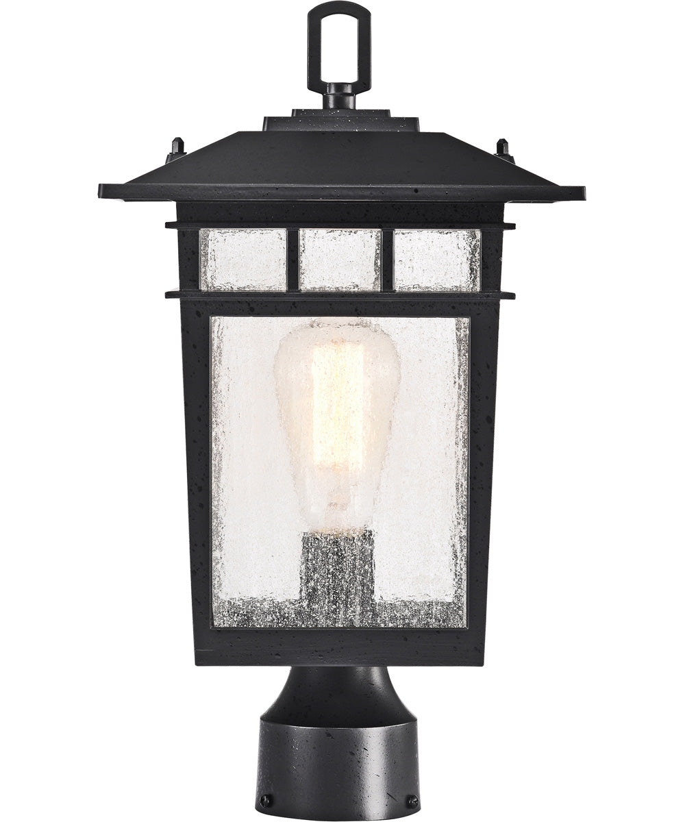 Cove Neck 1-Light Outdoor Textured Black
