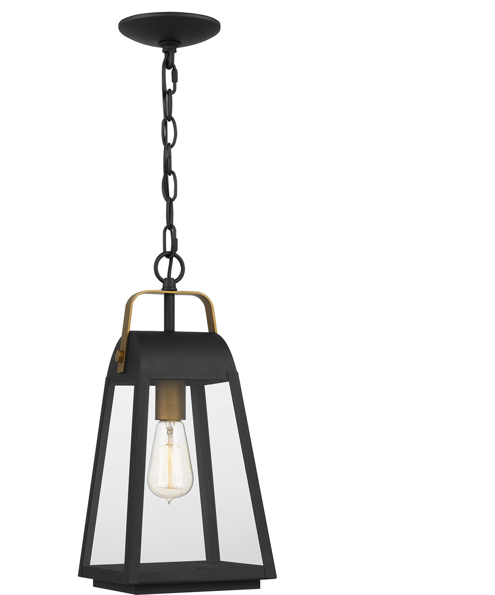 O'Leary Large 1-light Outdoor Pendant Light  Coastal Armour Steel Earth Black