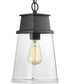 Greene Ridge 1-Light Hanging Lantern Textured Black