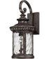 Chimera Medium 1-light Outdoor Wall Light Imperial Bronze