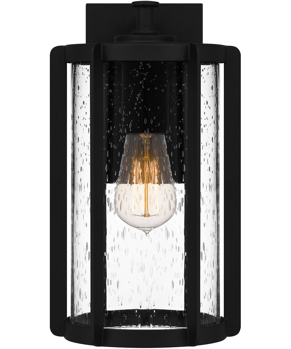 Hazel Medium 1-light Outdoor Wall Light  Coastal Armour Aluminum Earth Black