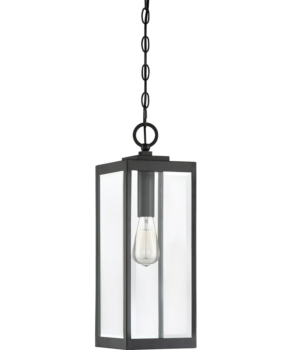 Westover Large 1-light Outdoor Pendant Light Earth Black