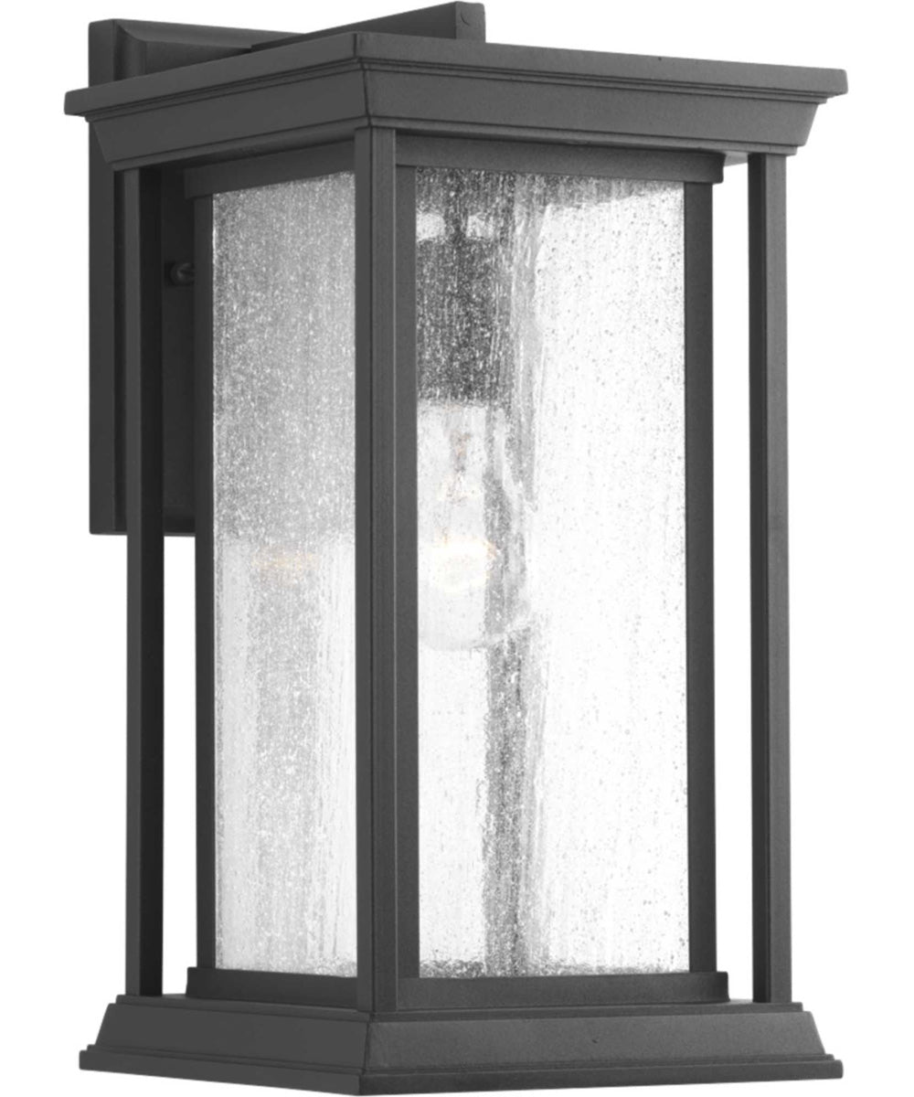 Endicott 1-Light Medium Wall Lantern Textured Black