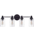 Dardyn 4-Light Vanity Flat Black