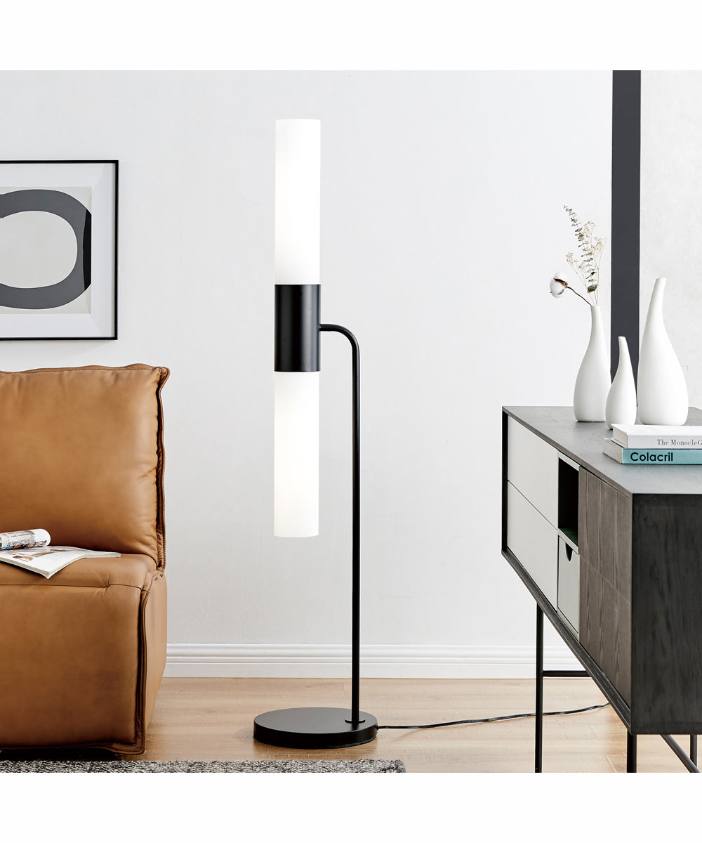 Dulance 2-Light 2-Light Floor Lamp Black/Frost Glass Shade