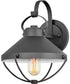 Crew 1-Light Small Outdoor Wall Mount Lantern in Black