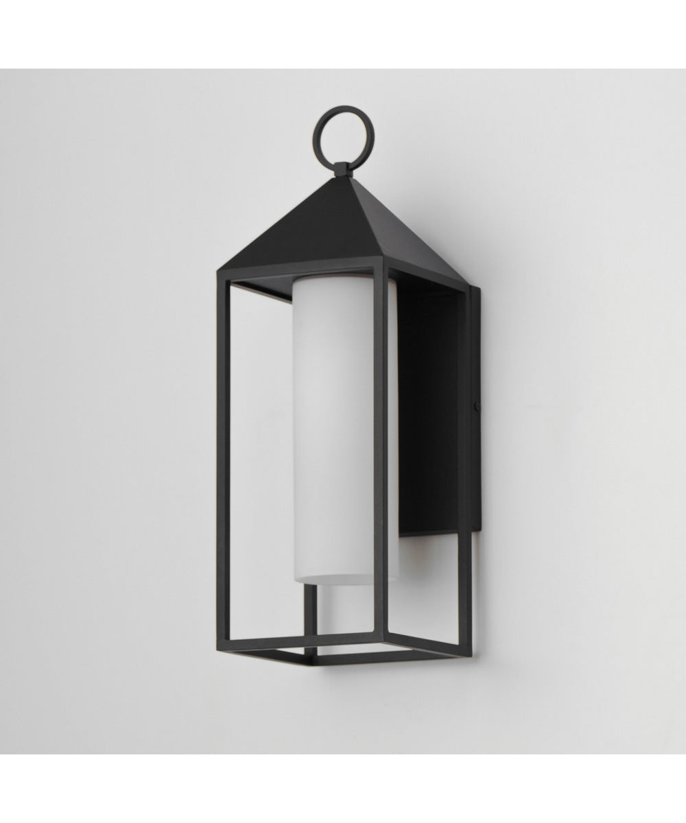Aldous 1-Light Large Outdoor Sconce Black