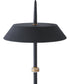 Santa Monica  LED  Floor Lamp Black / Gold