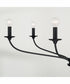 Dolan 6-Light Chandelier Matte Black