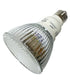 Neptun CFL-Par 30 14"W Dimmable Light Bulb