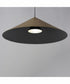 Pitch 30 inch LED Pendant Antique Brass