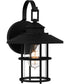 Lombard Medium 1-light Outdoor Wall Light  Coastal Armour Aluminum Matte Black