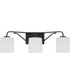 Tobin 3-Light Bath & Vanity Matte Black