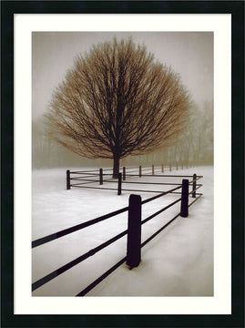 33"H x 24"W David Lorenz Winston Solitude Framed Print