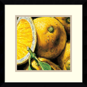 15"H AlmaCh Lemons Framed Art Print White/Warm Gray