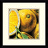 Amanti Art AlmaCh Lemons Framed Art Print White/Warm Gray AA979701