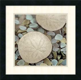 18"H Alan Blaustein Aquatic 2 Framed Art Print Satin Black