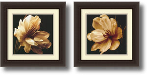 18"H x 18"W Timeless Grace Framed Art Dark Espresso