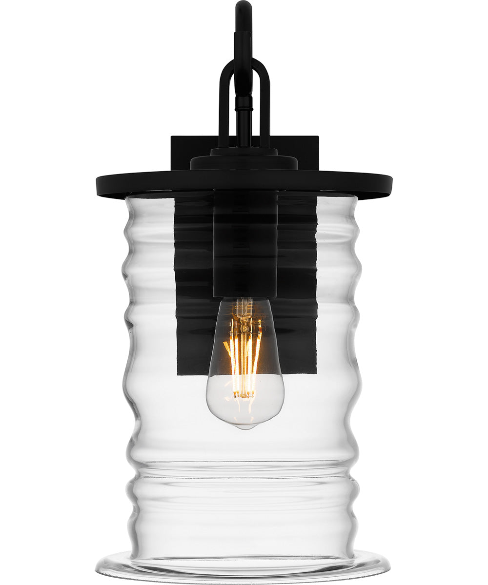 Noland Medium 1-light Outdoor Wall Light  Coastal Armour Aluminum Matte Black