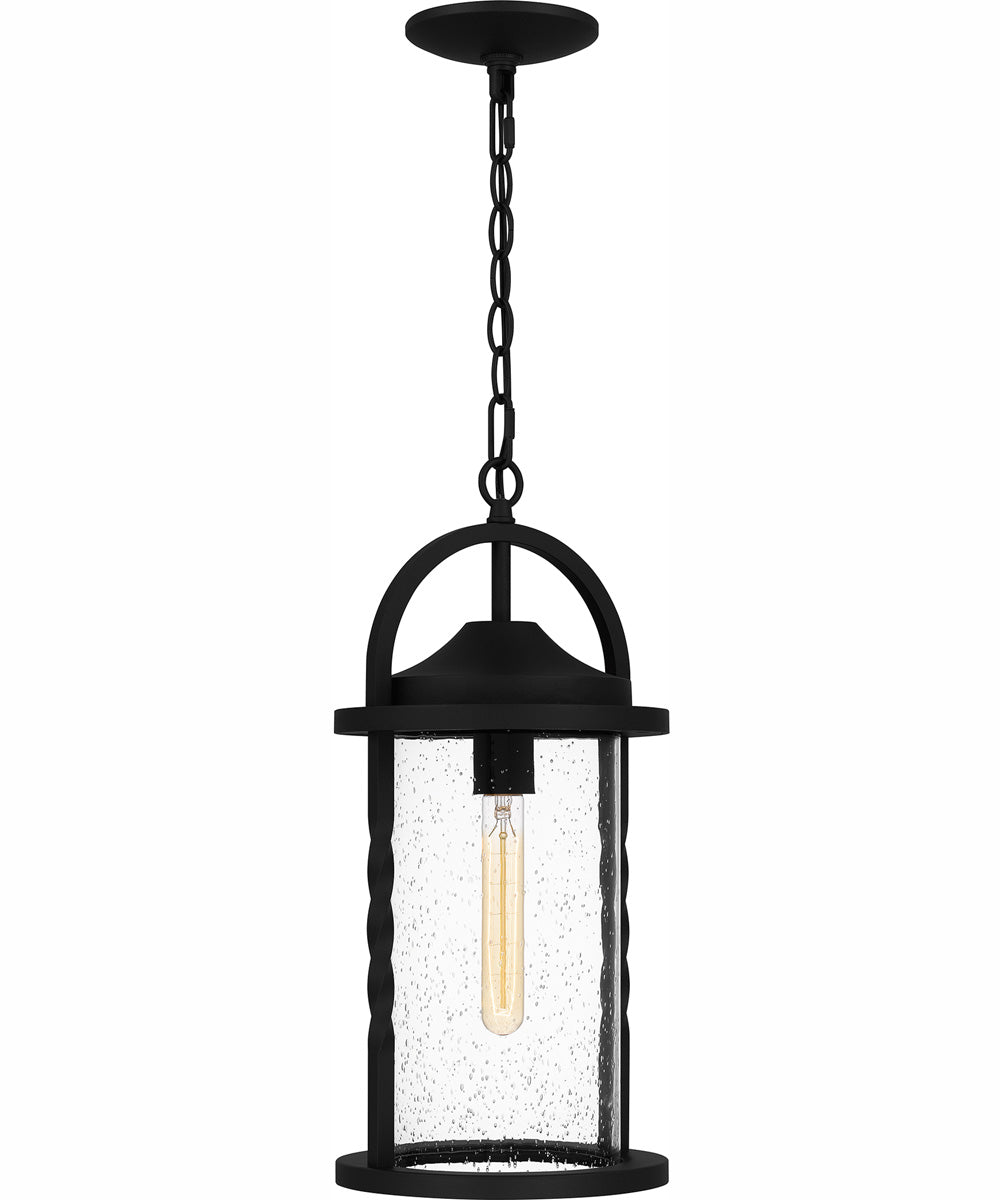 Reece Large 1-light Outdoor Pendant Light  Coastal Armour Aluminum Earth Black