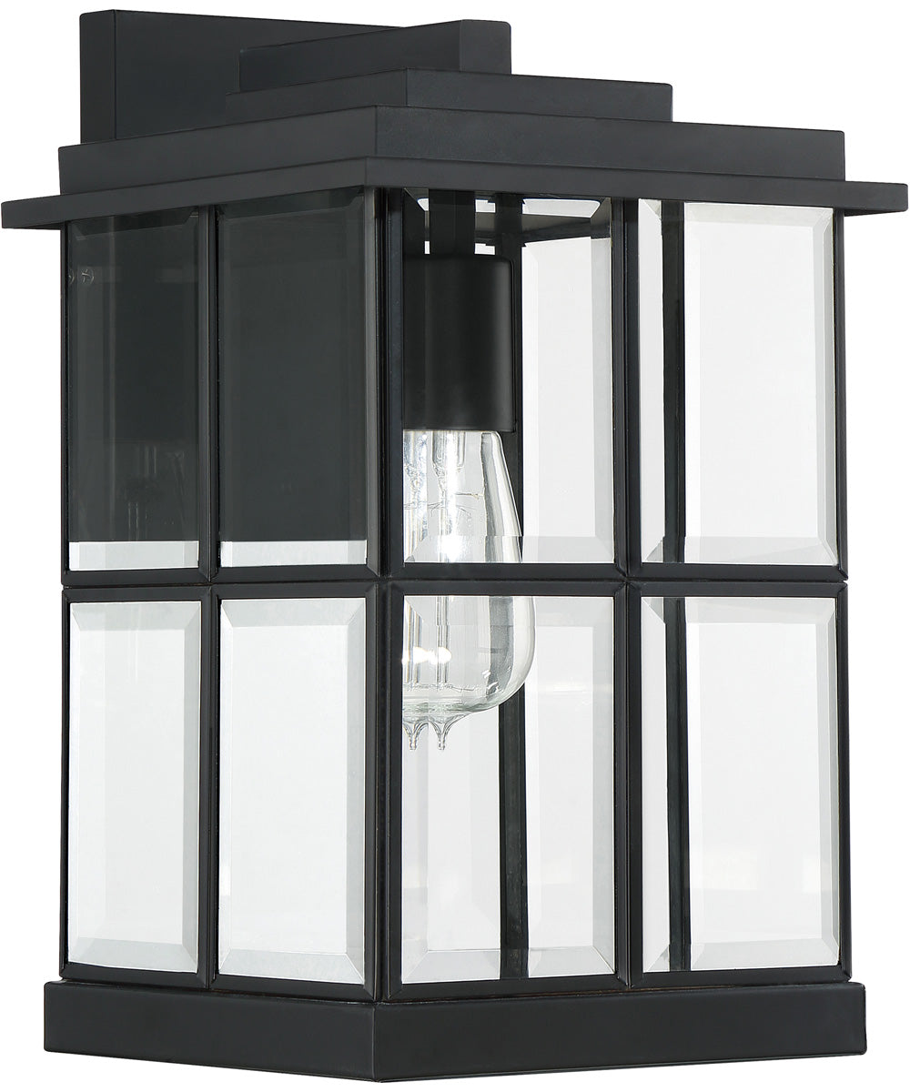 Mulligan Medium 1-light Outdoor Wall Light Matte Black