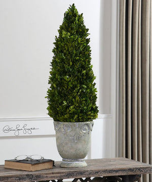 29"H Boxwood Cone Topiary
