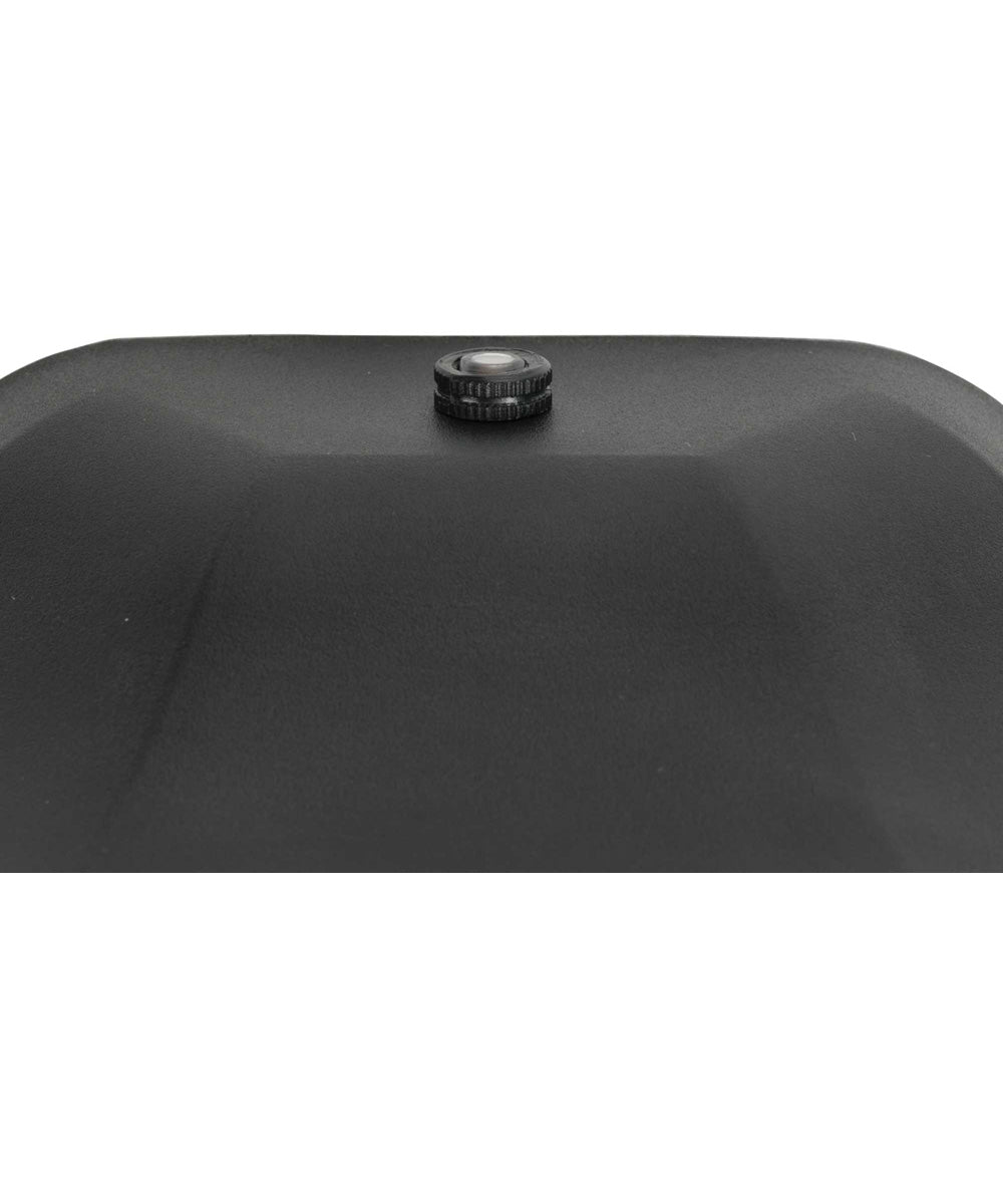 Milford Non-Metallic Lantern  1-Light Frosted Shade Traditional Outdoor Wall Lantern Light Textured Black