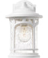 Marblehead Small 1-light Outdoor Wall Light  Coastal Armour White Lustre
