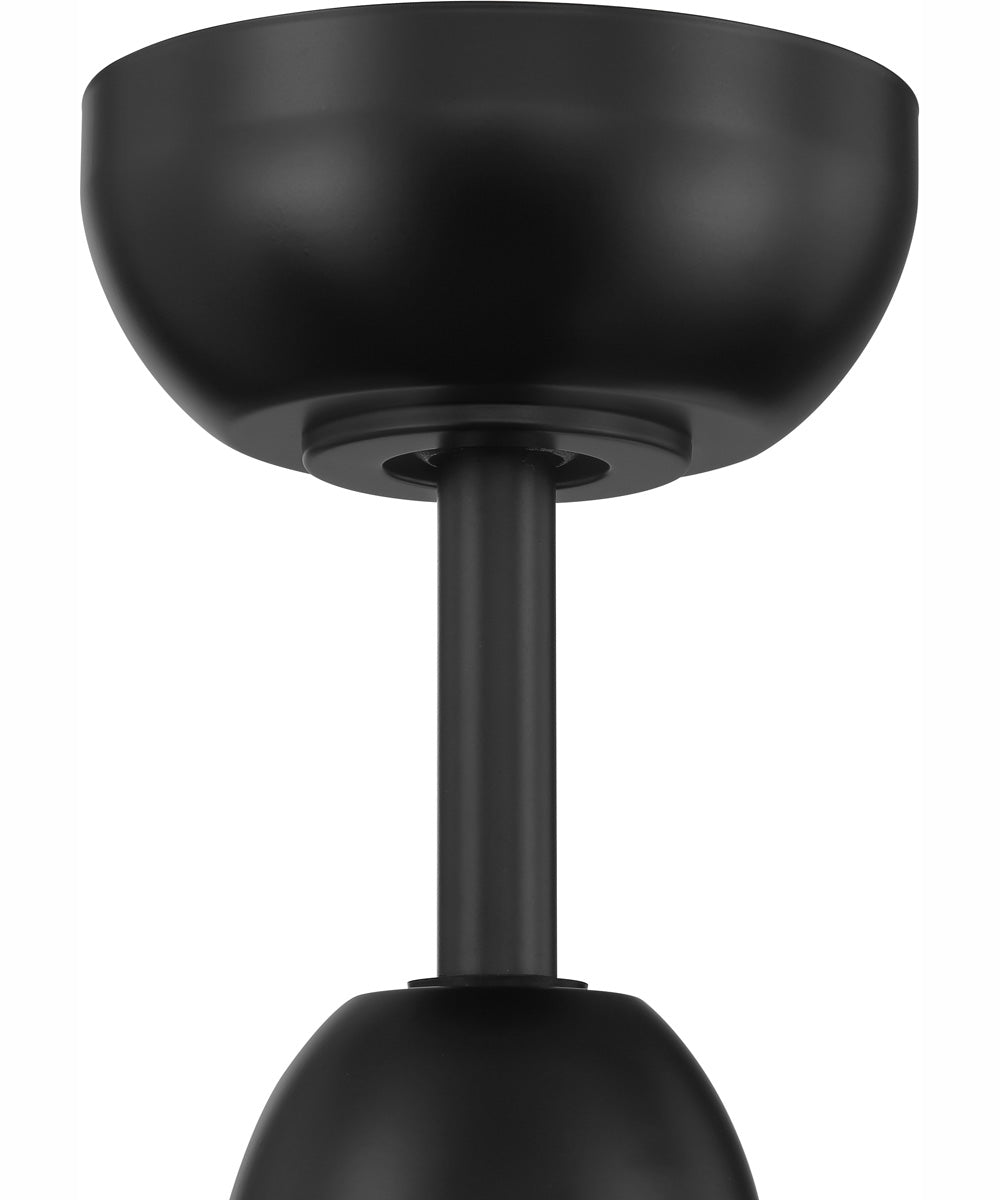 52" Sebastion 2-Light Indoor/Outdoor Ceiling Fan Flat Black