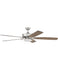 Ceiling Fans and Accessories