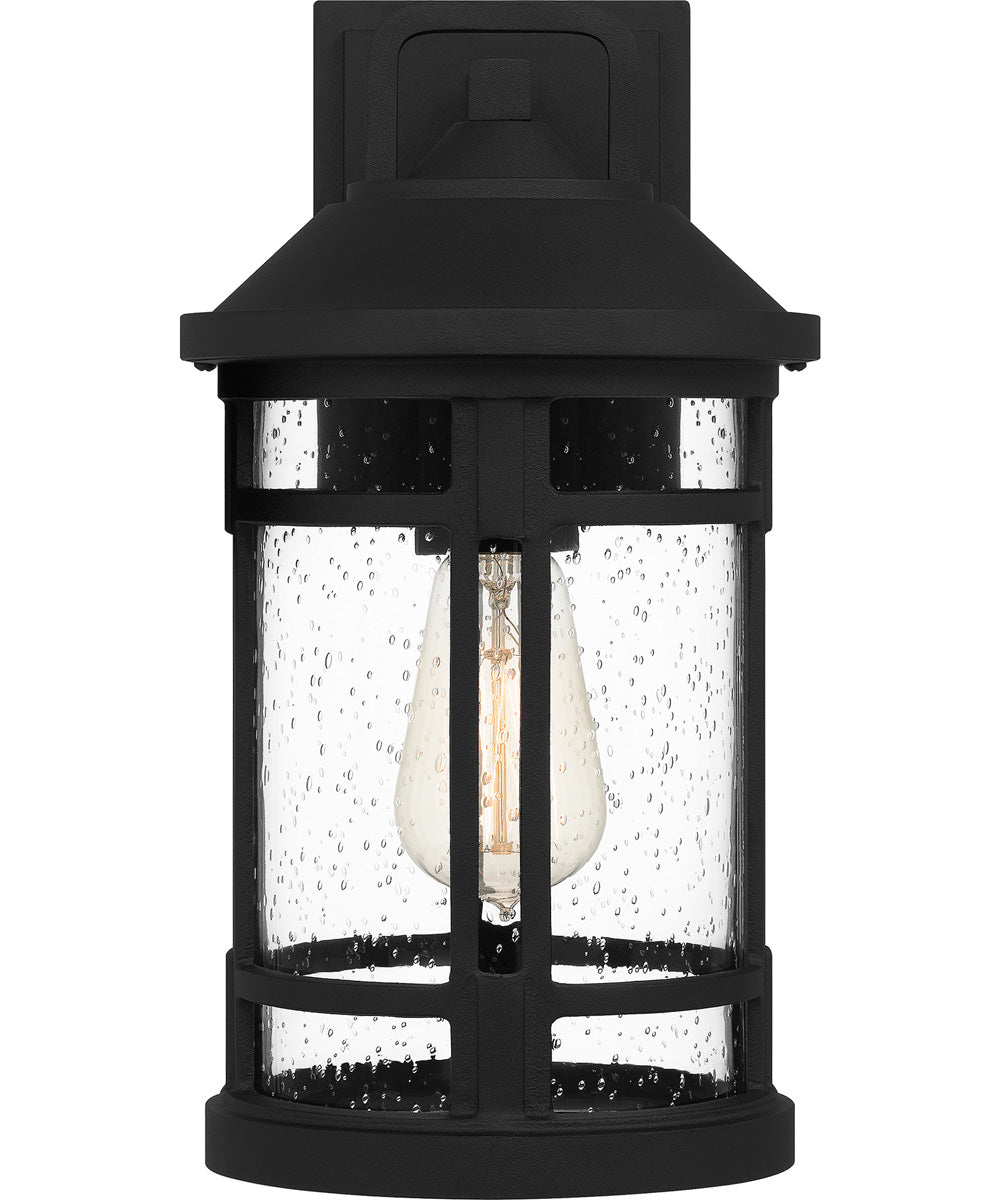 Quincy Medium 1-light Outdoor Wall Light  Coastal Armour Aluminum Earth Black