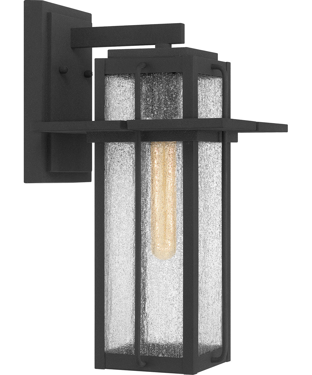 Randall Large 1-light Outdoor Wall Light  Coastal Armour Aluminum Mottled Black