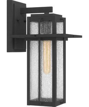 Randall Large 1-light Outdoor Wall Light  Coastal Armour Aluminum Mottled Black