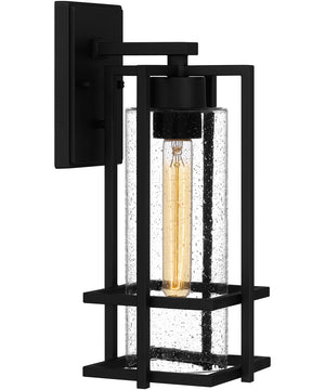 Damien Medium 1-light Outdoor Wall Light  Coastal Armour Aluminum Earth Black