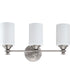 Dardyn 3-Light Bath Vanity Light Brushed Polished Nickel