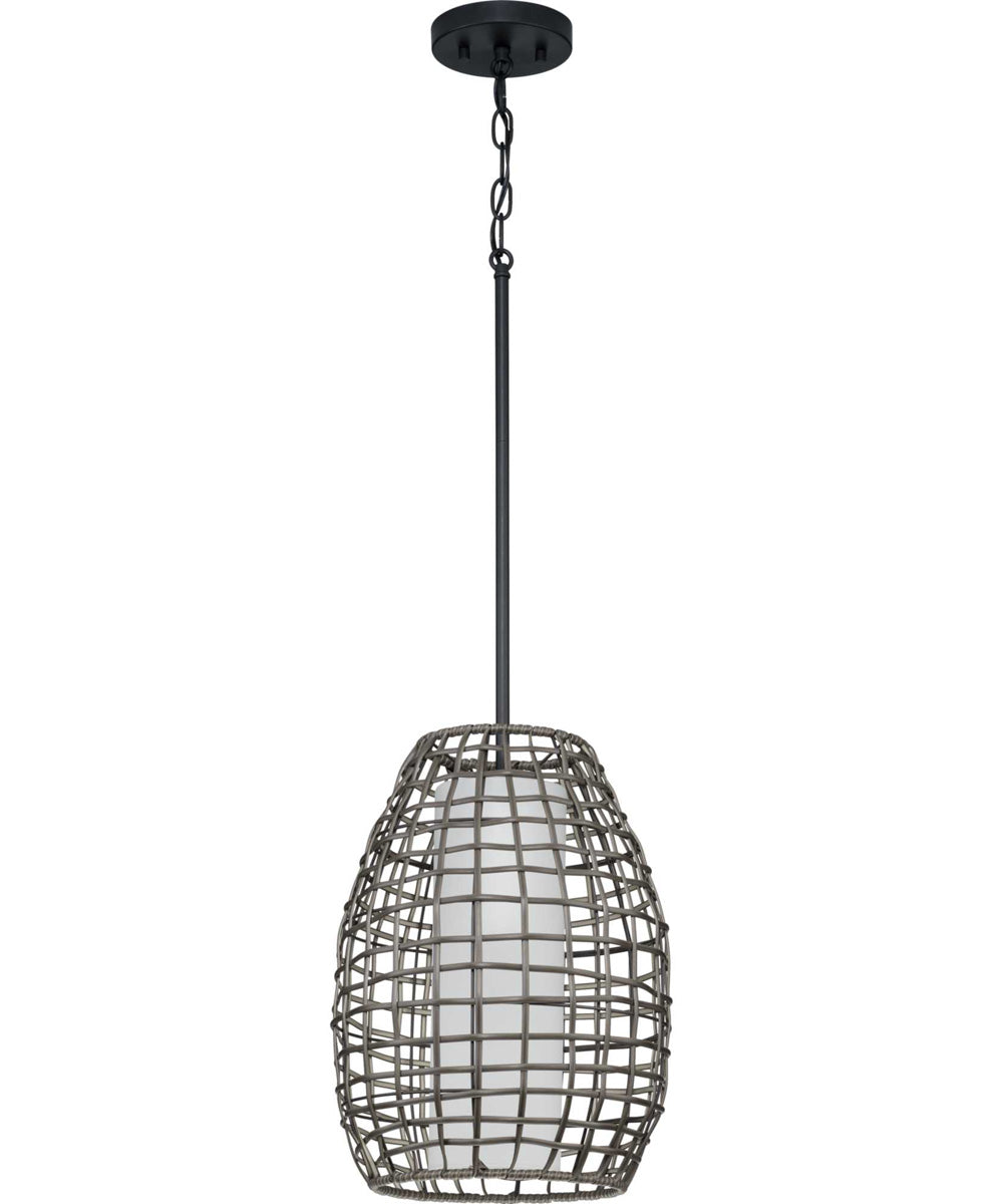 Pawley 1-Light Dark Gray Rattan Indoor/Outdoor Hanging Pendant Light Matte Black