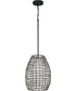 Pawley 1-Light Dark Gray Rattan Indoor/Outdoor Hanging Pendant Light Matte Black