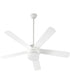 52" Maxwell 2-light LED Ceiling Fan Studio White