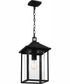 Fletcher Large 1-light Outdoor Pendant Light  Coastal Armour Aluminum Earth Black