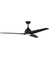 60" Limerick 1-Light Ceiling Fan (Blades Included) Flat Black