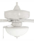 60" Outdoor Super Pro 211 2-Light Indoor/Outdoor Ceiling Fan White