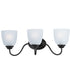 Stefan 3-Light Bath Vanity Black