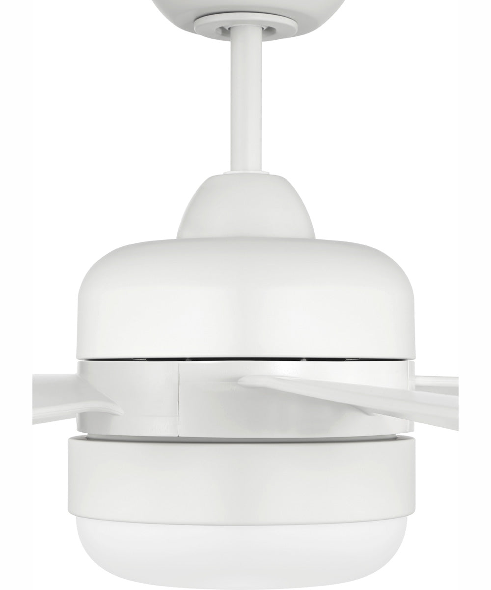 52" Sebastion 2-Light Indoor/Outdoor Ceiling Fan White