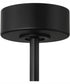 60" Envy 1-Light Indoor/Outdoor Ceiling Fan Flat Black