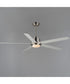 Daisy 60 inch 5-Blade Fan w LED Light Kit Satin Nickel