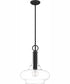 Quoizel Pendant 1-light Pendant Mottled Black