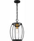Thyme 1-light Mini Pendant Earth Black