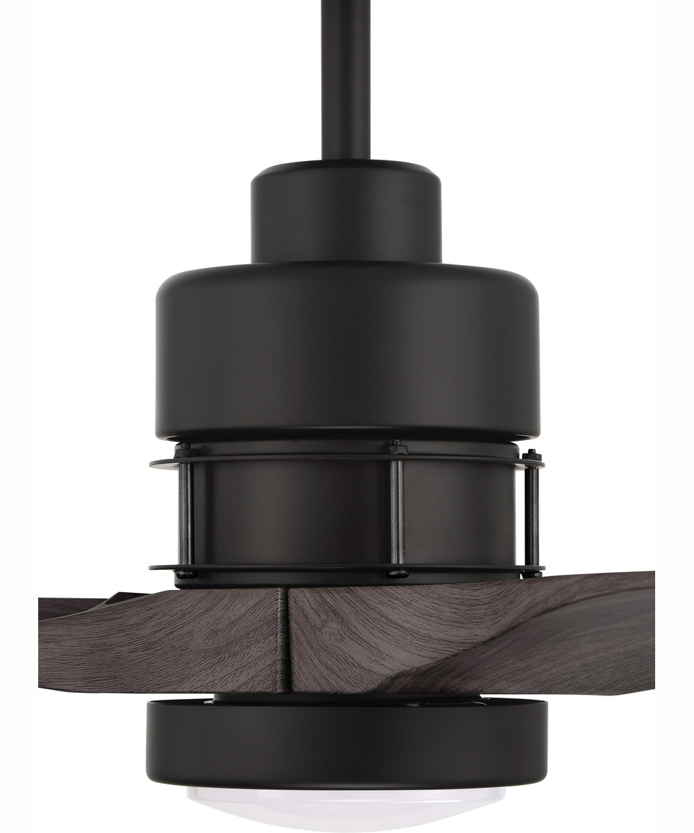 60" Sonnet 1-Light Ceiling Fan Flat Black